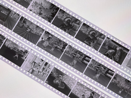 フィルムってなに?ピンホールカメラでためそう!フィルム写真の原理と色のひみつ ピンホールカメラの基本Part.2